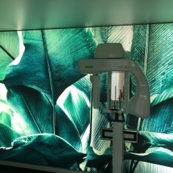 vgms-hinterleuchtet-bedruckt-11